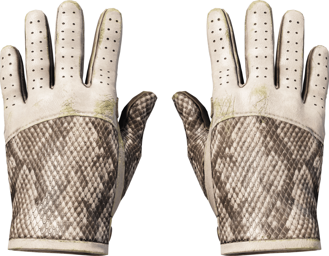 ★ Driver Gloves | King Snake (Well-Worn)