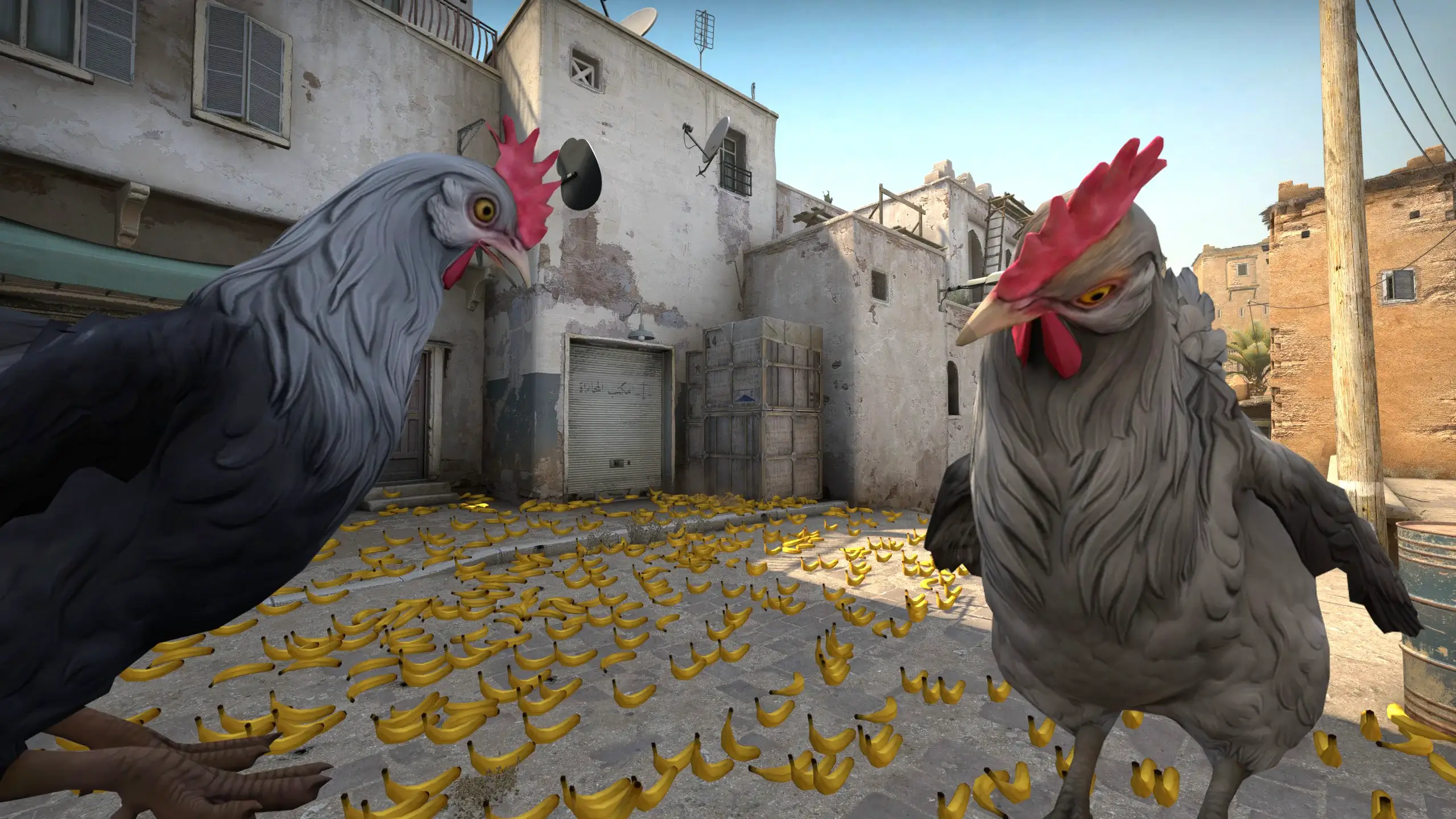 Funny CS:GO Console Commands