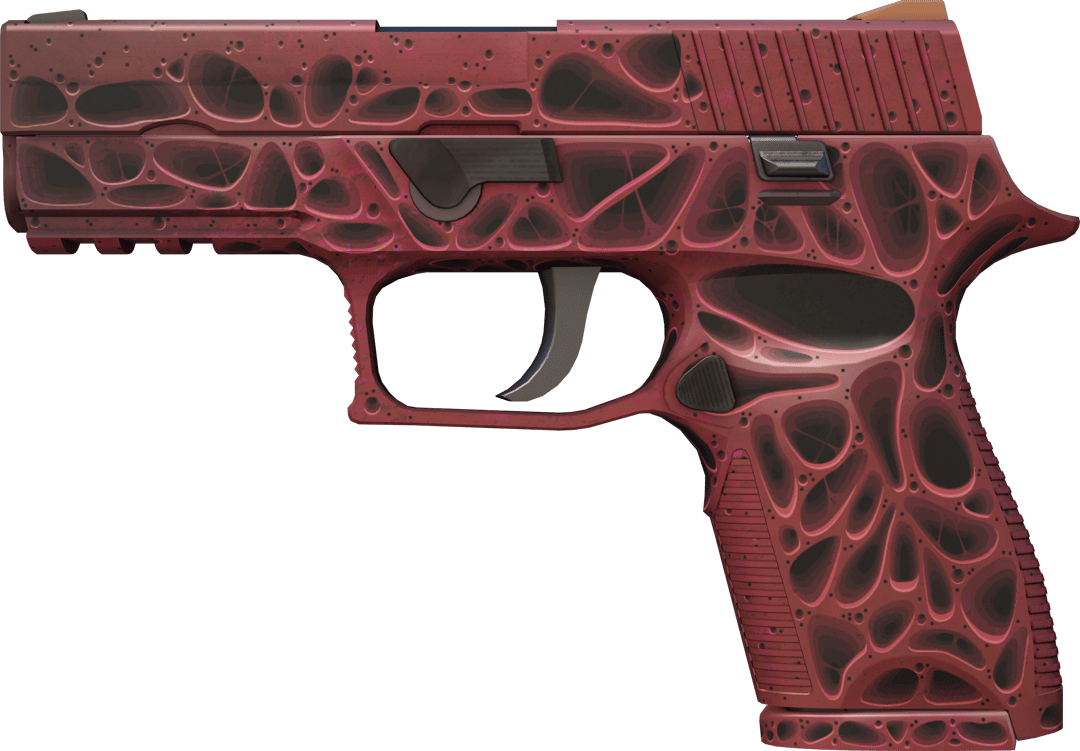 P250 Contaminant (Factory New)